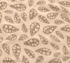 Robens Wolf Moon 5XP Tent Package -Outdoor Camping Store robens carpet 1